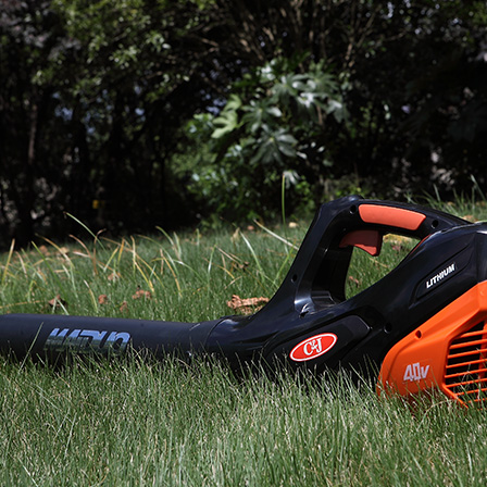 Leaf Blower