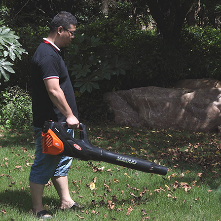 Leaf Blower