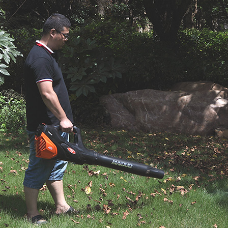 Leaf Blower