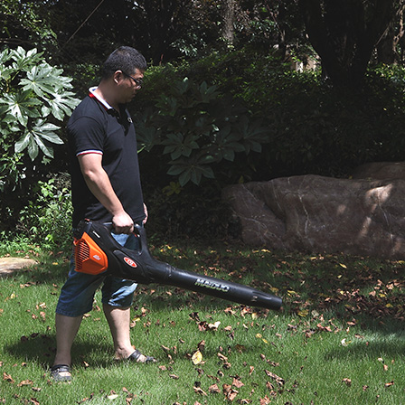 Leaf Blower
