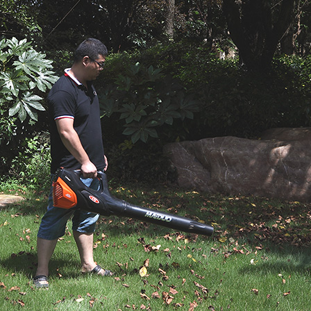 Leaf Blower